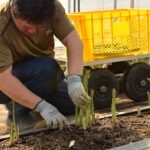 スリービレッジファーム